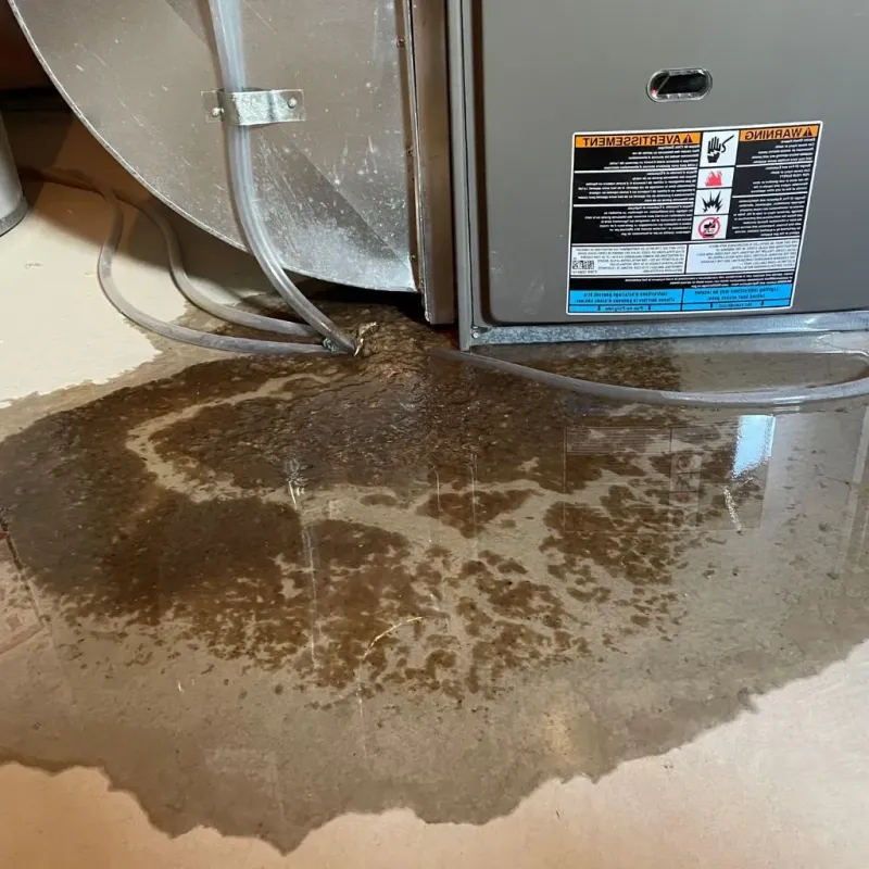 Pipe Burst and Leak Restoration in Herkimer, NY